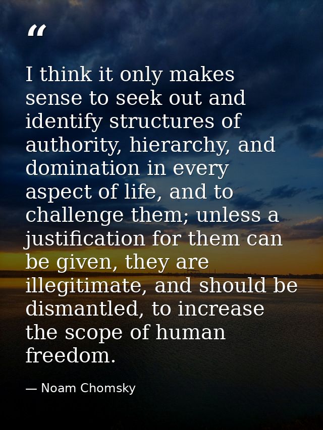 I think it only makes sense to seek out and identify structures of authority, hierarchy, and domination in every aspect  — Noam Chomsky