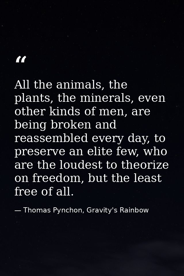 All the animals, the plants, the minerals, even other kinds of men, are being broken and reassembled every day, to prese — Thomas Pynchon, Gravity's Rainbow