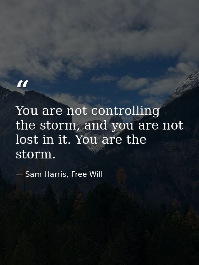 You are not controlling the storm, and you are not lost in it. You are the storm. — Sam Harris, Free Will