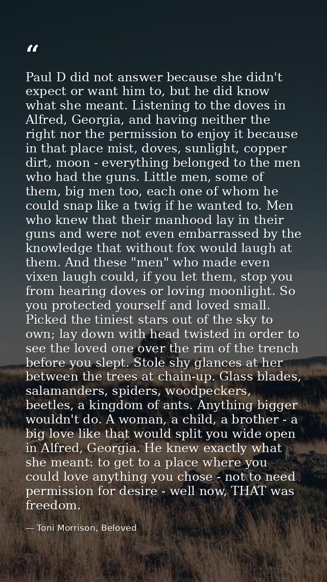 Paul D did not answer because she didn't expect or want him to, but he did know what she meant. Listening to the doves i — Toni Morrison, Beloved