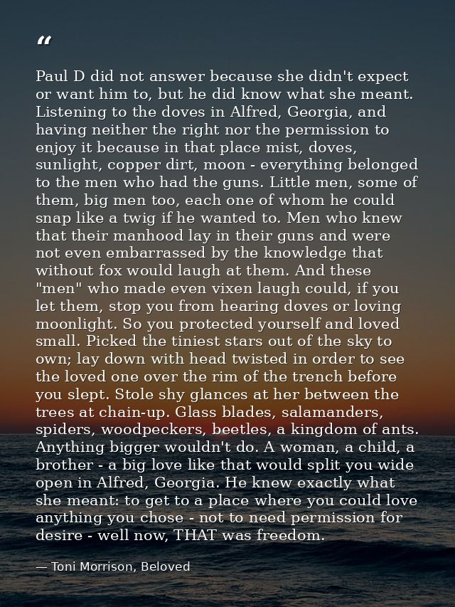 Paul D did not answer because she didn't expect or want him to, but he did know what she meant. Listening to the doves i — Toni Morrison, Beloved