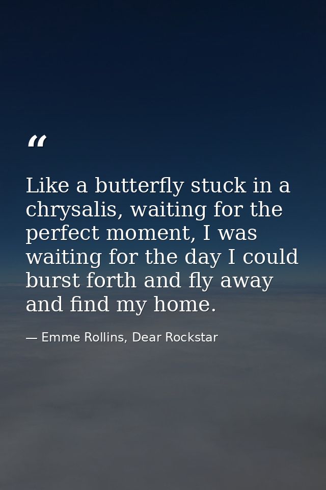 Like a butterfly stuck in a chrysalis, waiting for the perfect moment, I was waiting for the day I could burst forth and — Emme Rollins, Dear Rockstar