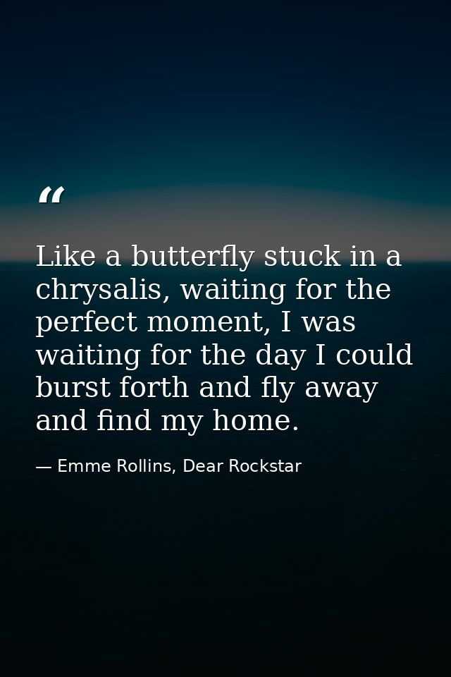 Like a butterfly stuck in a chrysalis, waiting for the perfect moment, I was waiting for the day I could burst forth and — Emme Rollins, Dear Rockstar