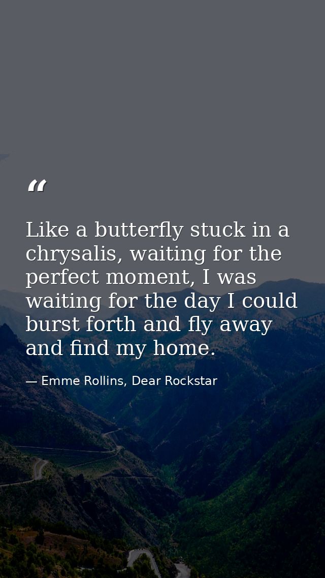 Like a butterfly stuck in a chrysalis, waiting for the perfect moment, I was waiting for the day I could burst forth and — Emme Rollins, Dear Rockstar