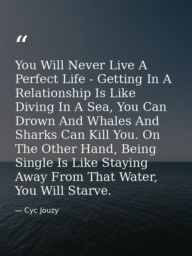You Will Never Live A Perfect Life - Getting In A Relationship Is Like Diving In A Sea, You Can Drown And Whales And Sha — Cyc Jouzy