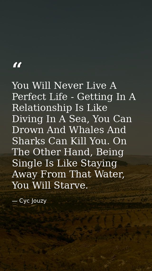 You Will Never Live A Perfect Life - Getting In A Relationship Is Like Diving In A Sea, You Can Drown And Whales And Sha — Cyc Jouzy