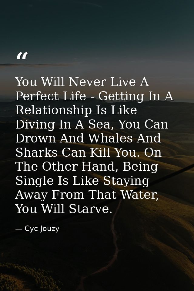 You Will Never Live A Perfect Life - Getting In A Relationship Is Like Diving In A Sea, You Can Drown And Whales And Sha — Cyc Jouzy