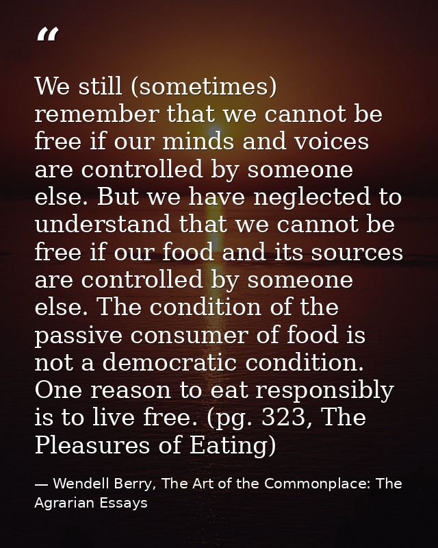 We still (sometimes) remember that we cannot be free if our minds and voices are controlled by someone else. But we have — Wendell Berry, The Art of the Commonplace: The Agrarian Essays