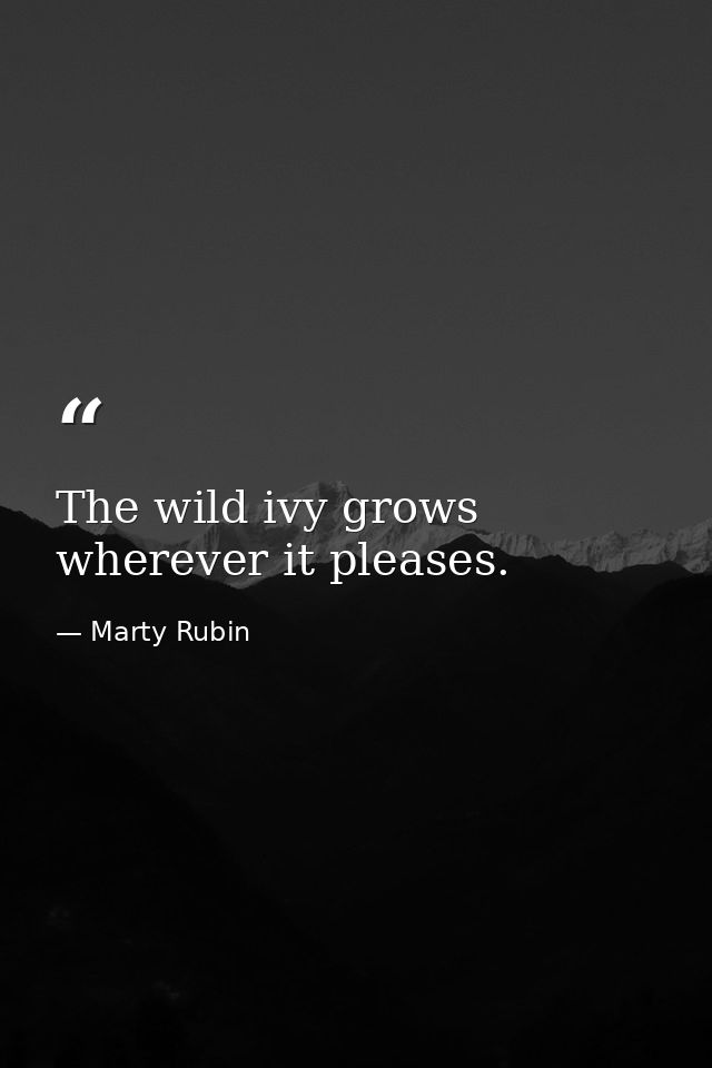The wild ivy grows wherever it pleases. — Marty Rubin