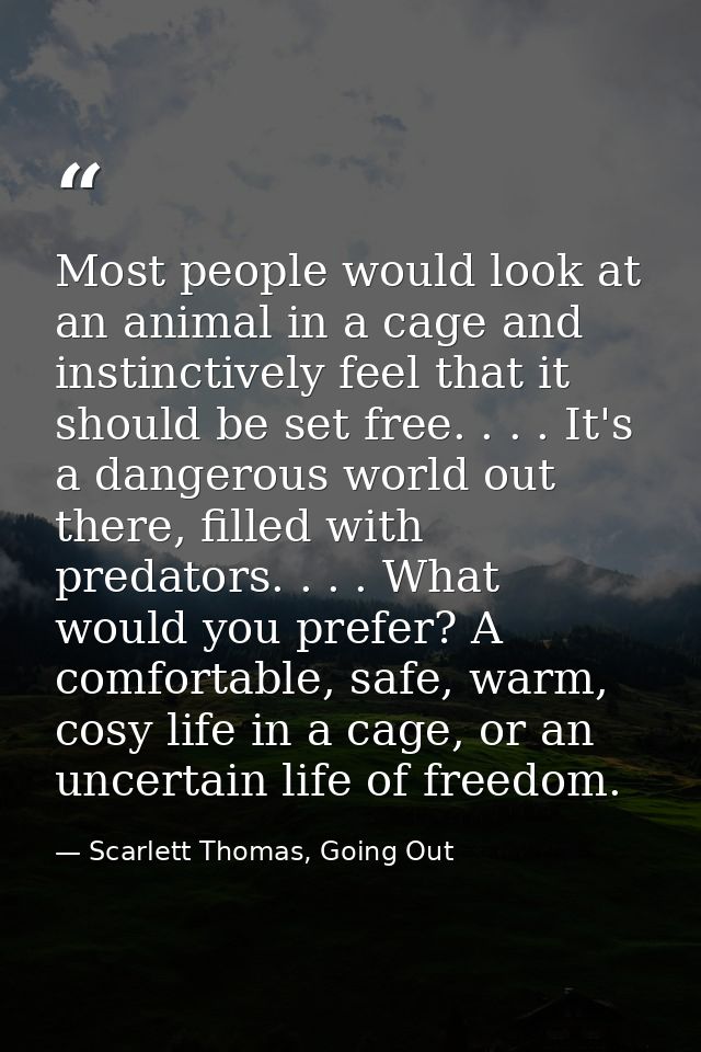 Most people would look at an animal in a cage and instinctively feel that it should be set free. . . . It's a dangerous  — Scarlett Thomas, Going Out
