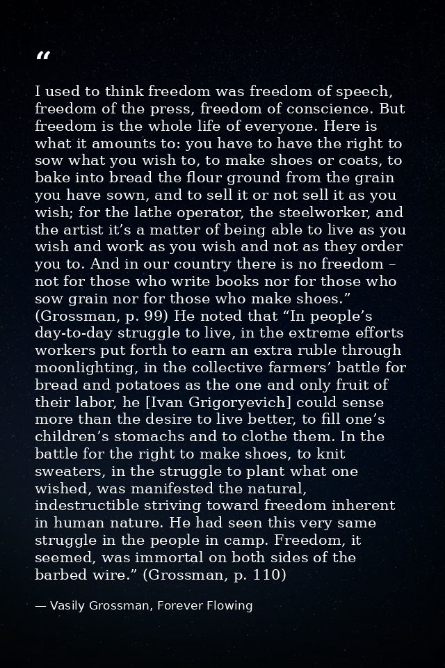 I used to think freedom was freedom of speech, freedom of the press, freedom of conscience. But freedom is the whole lif — Vasily Grossman, Forever Flowing