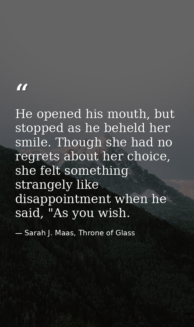 He opened his mouth, but stopped as he beheld her smile. Though she had no regrets about her choice, she felt something  — Sarah J. Maas, Throne of Glass