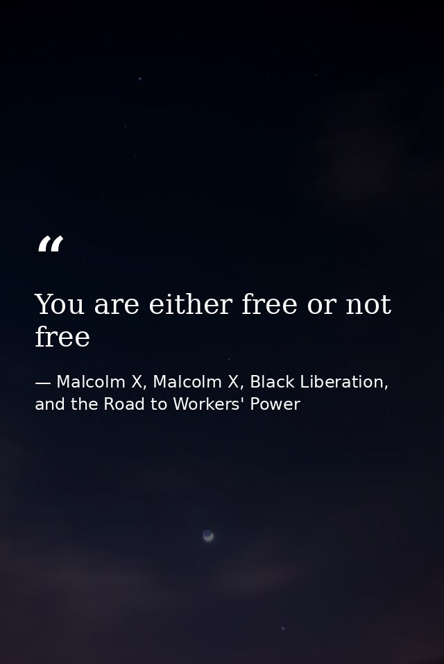 You are either free or not free — Malcolm X, Malcolm X, Black Liberation, and the Road to Workers' Power