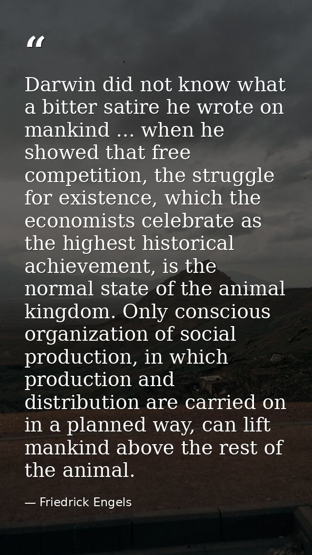 Darwin did not know what a bitter satire he wrote on mankind ... when he showed that free competition, the struggle for  — Friedrick Engels