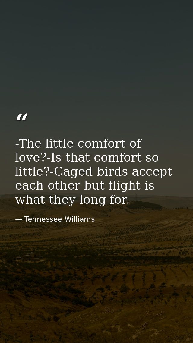 -The little comfort of love?-Is that comfort so little?-Caged birds accept each other but flight is what they long for. — Tennessee Williams