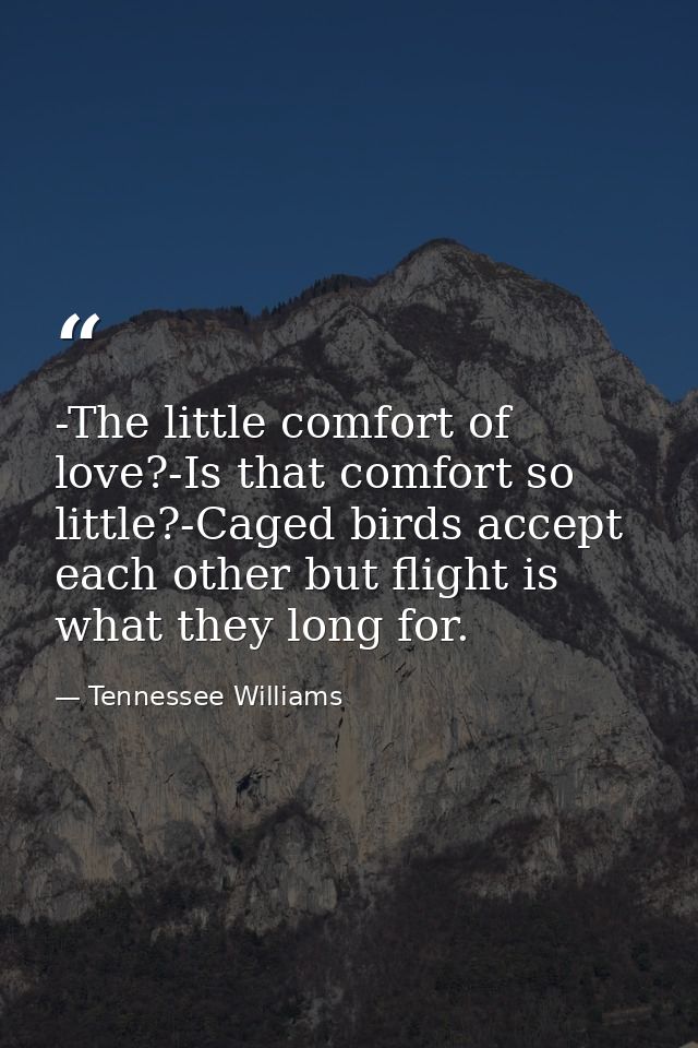 -The little comfort of love?-Is that comfort so little?-Caged birds accept each other but flight is what they long for. — Tennessee Williams