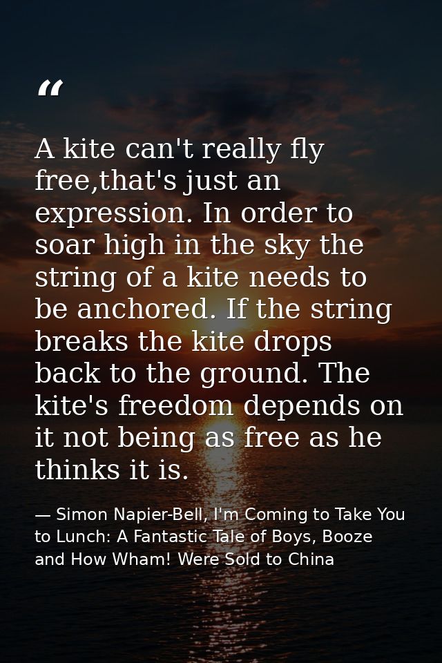 A kite can't really fly free,that's just an expression. In order to soar high in the sky the string of a kite needs to b — Simon Napier-Bell, I'm Coming to Take You to Lunch: A Fantastic Tale of Boys, Booze and How Wham! Were Sold to China
