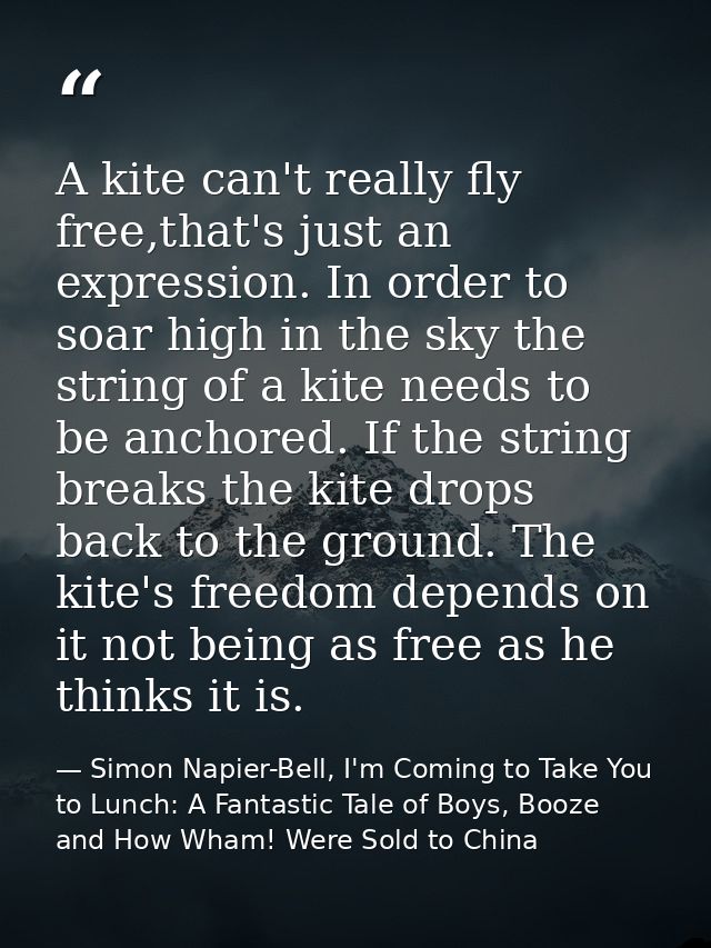 A kite can't really fly free,that's just an expression. In order to soar high in the sky the string of a kite needs to b — Simon Napier-Bell, I'm Coming to Take You to Lunch: A Fantastic Tale of Boys, Booze and How Wham! Were Sold to China