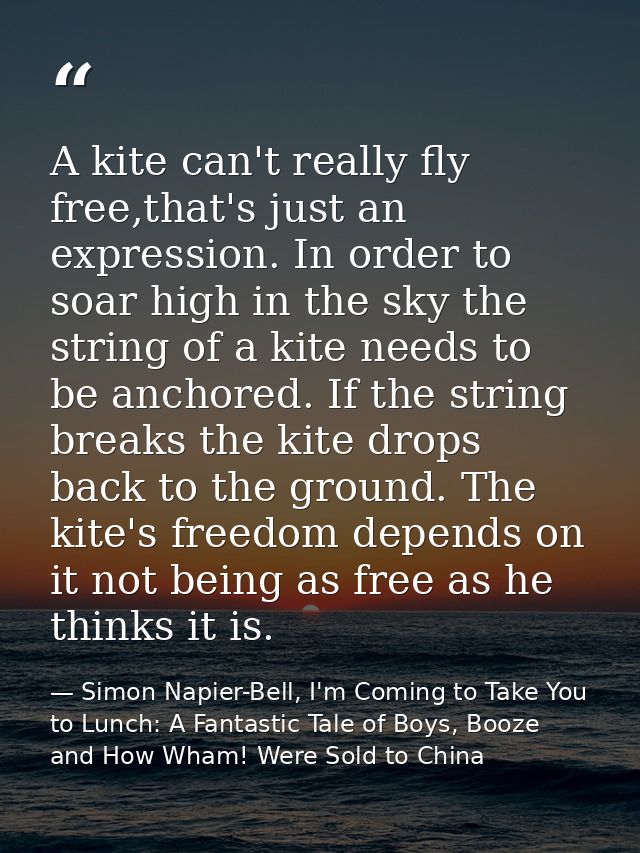 A kite can't really fly free,that's just an expression. In order to soar high in the sky the string of a kite needs to b — Simon Napier-Bell, I'm Coming to Take You to Lunch: A Fantastic Tale of Boys, Booze and How Wham! Were Sold to China