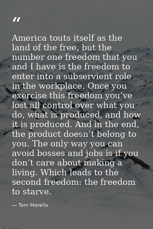 America touts itself as the land of the free, but the number one freedom that you and I have is the freedom to enter int — Tom Morello
