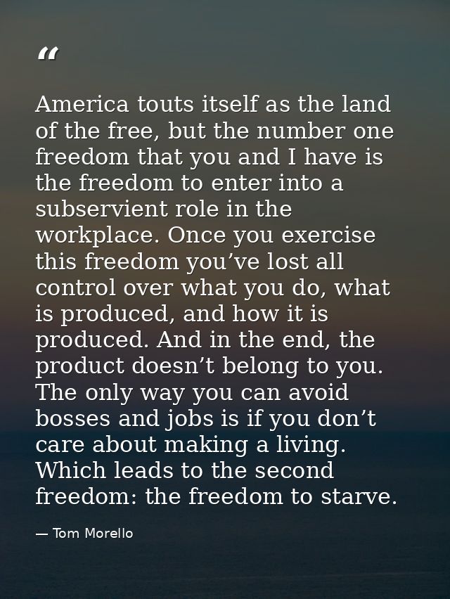 America touts itself as the land of the free, but the number one freedom that you and I have is the freedom to enter int — Tom Morello