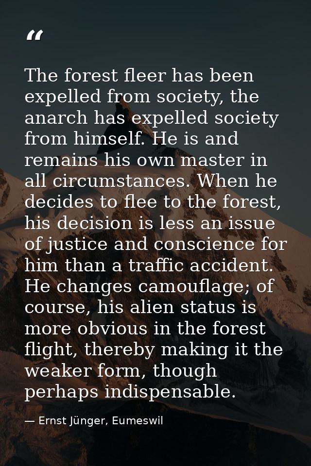 The forest fleer has been expelled from society, the anarch has expelled society from himself. He is and remains his own — Ernst Jünger, Eumeswil