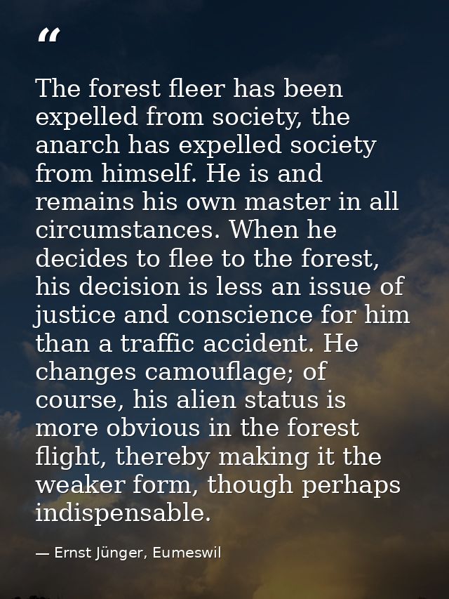 The forest fleer has been expelled from society, the anarch has expelled society from himself. He is and remains his own — Ernst Jünger, Eumeswil