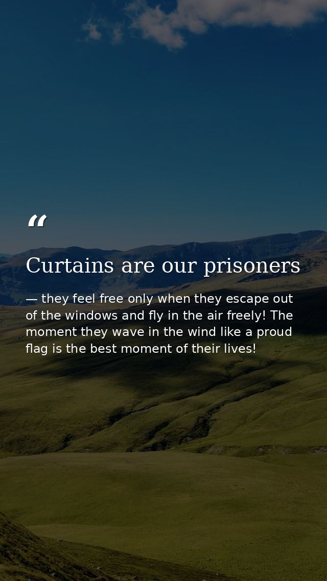 Curtains are our prisoners — they feel free only when they escape out of the windows and fly in the air freely! The moment they wave in the wind like a proud flag is the best moment of their lives!