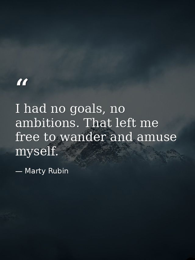 I had no goals, no ambitions. That left me free to wander and amuse myself. — Marty Rubin