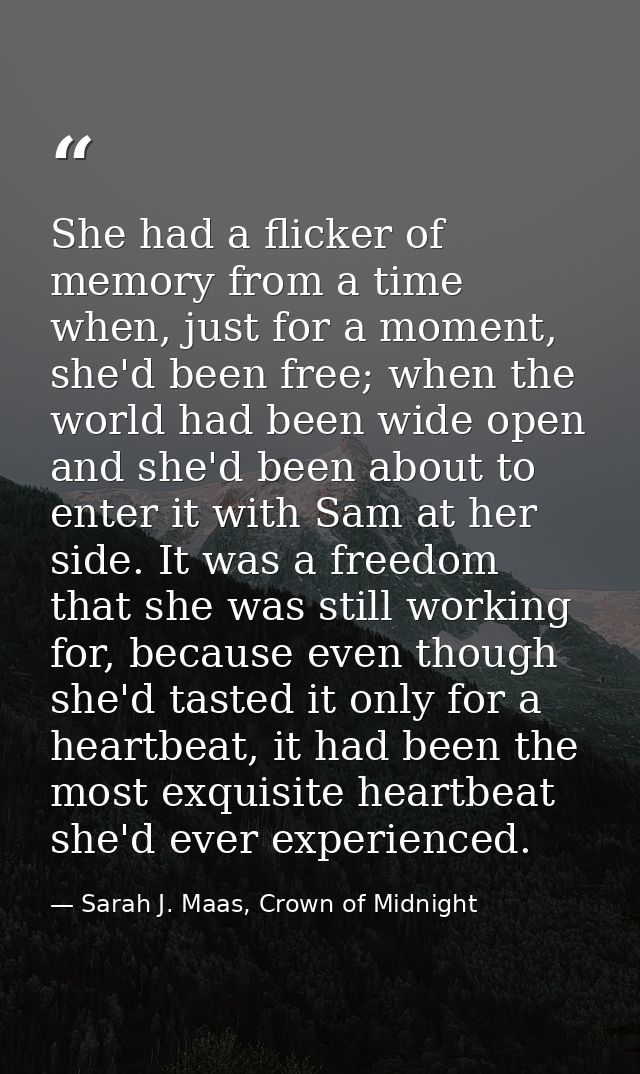 She had a flicker of memory from a time when, just for a moment, she'd been free; when the world had been wide open and  — Sarah J. Maas, Crown of Midnight