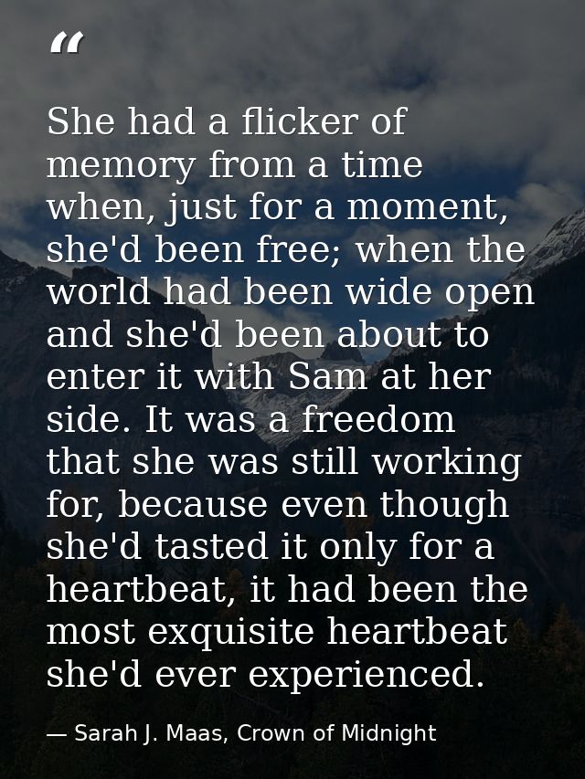 She had a flicker of memory from a time when, just for a moment, she'd been free; when the world had been wide open and  — Sarah J. Maas, Crown of Midnight