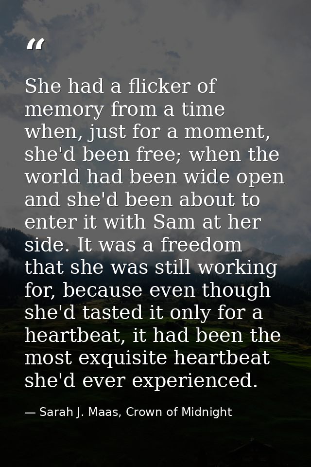She had a flicker of memory from a time when, just for a moment, she'd been free; when the world had been wide open and  — Sarah J. Maas, Crown of Midnight