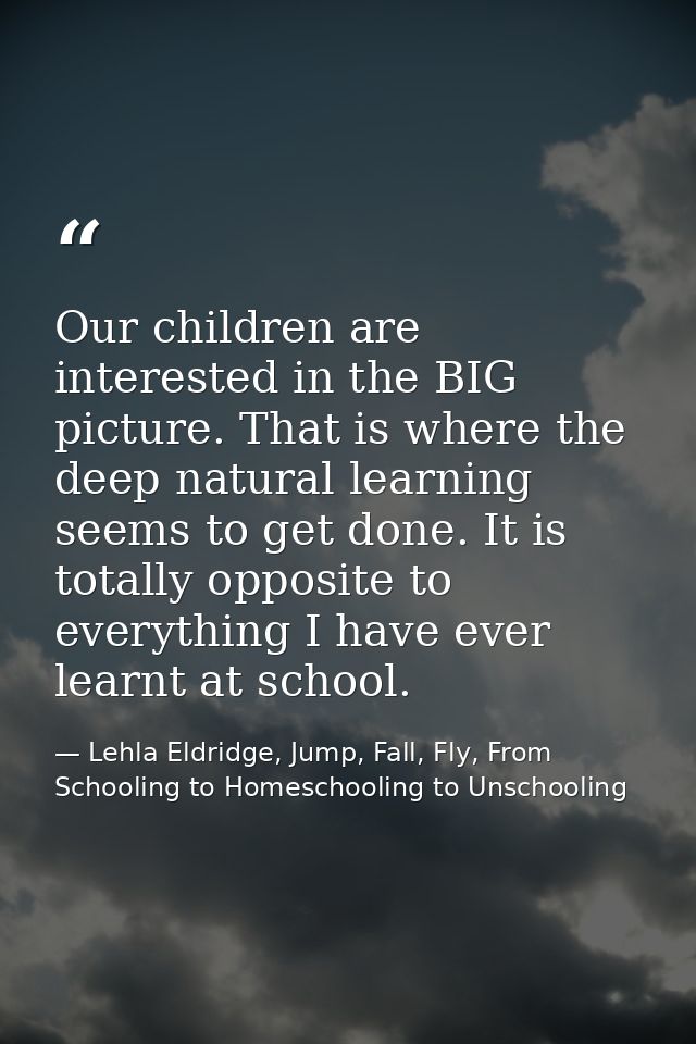 Our children are interested in the BIG picture. That is where the deep natural learning seems to get done. It is totally — Lehla Eldridge, Jump, Fall, Fly, From Schooling to Homeschooling to Unschooling