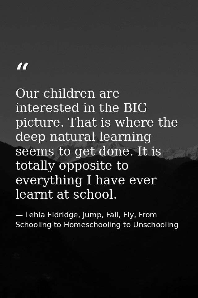 Our children are interested in the BIG picture. That is where the deep natural learning seems to get done. It is totally — Lehla Eldridge, Jump, Fall, Fly, From Schooling to Homeschooling to Unschooling