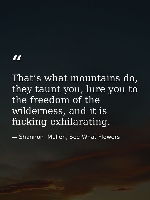 That’s what mountains do, they taunt you, lure you to the freedom of the wilderness, and it is fucking exhilarating. — Shannon  Mullen, See What Flowers