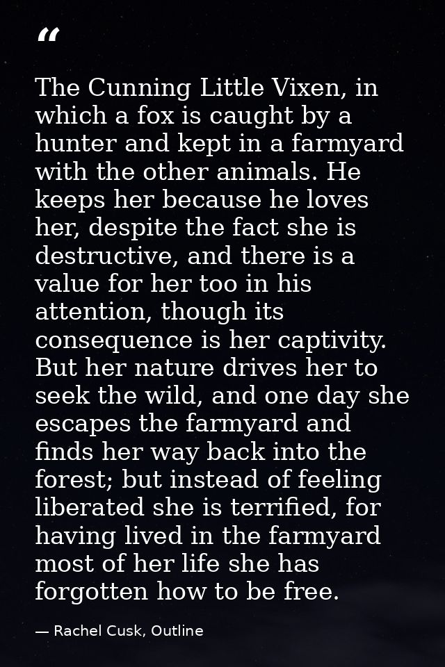 The Cunning Little Vixen, in which a fox is caught by a hunter and kept in a farmyard with the other animals. He keeps h — Rachel Cusk, Outline