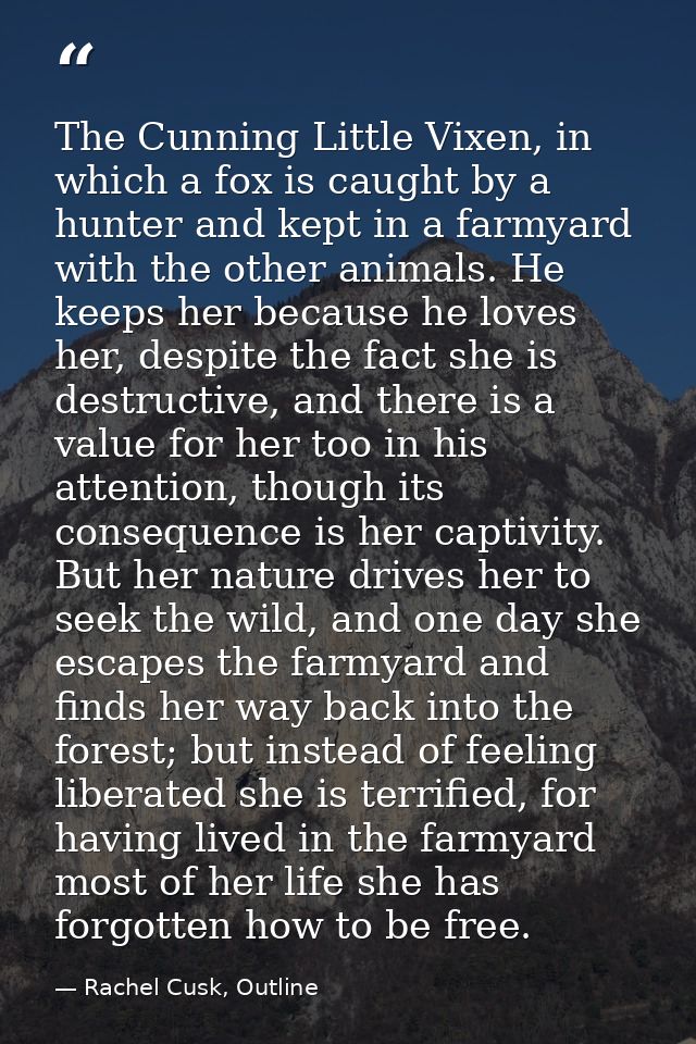 The Cunning Little Vixen, in which a fox is caught by a hunter and kept in a farmyard with the other animals. He keeps h — Rachel Cusk, Outline
