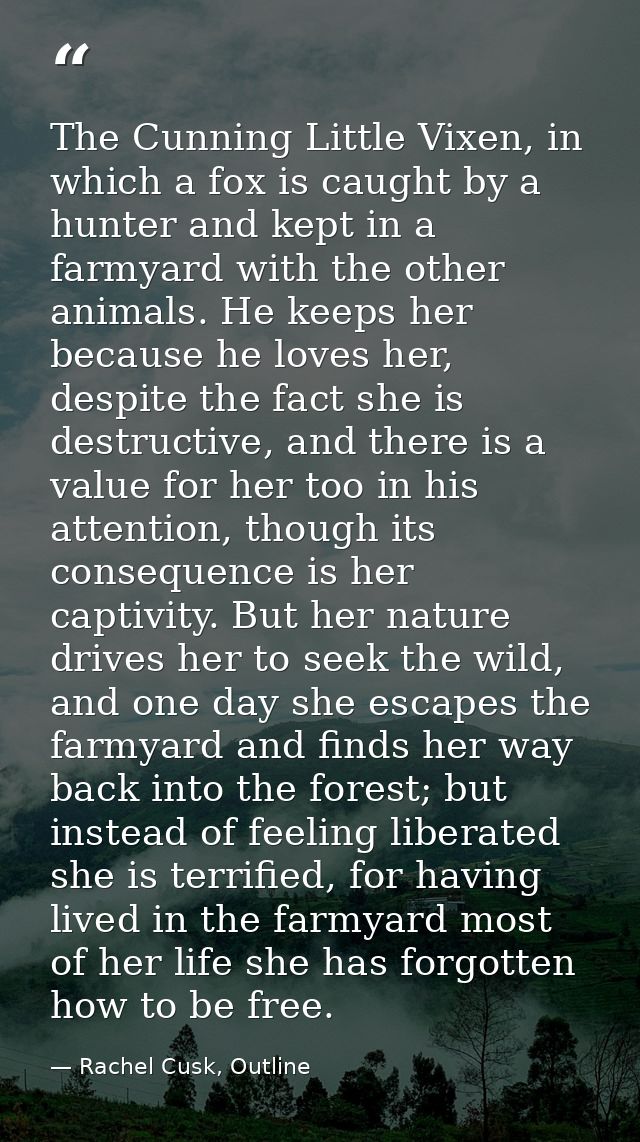 The Cunning Little Vixen, in which a fox is caught by a hunter and kept in a farmyard with the other animals. He keeps h — Rachel Cusk, Outline