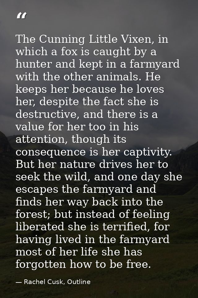 The Cunning Little Vixen, in which a fox is caught by a hunter and kept in a farmyard with the other animals. He keeps h — Rachel Cusk, Outline