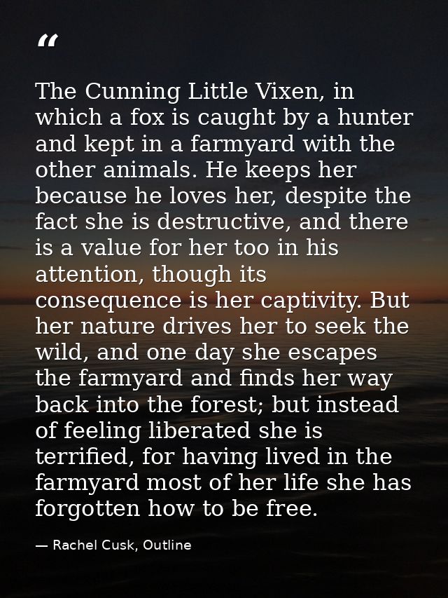 The Cunning Little Vixen, in which a fox is caught by a hunter and kept in a farmyard with the other animals. He keeps h — Rachel Cusk, Outline