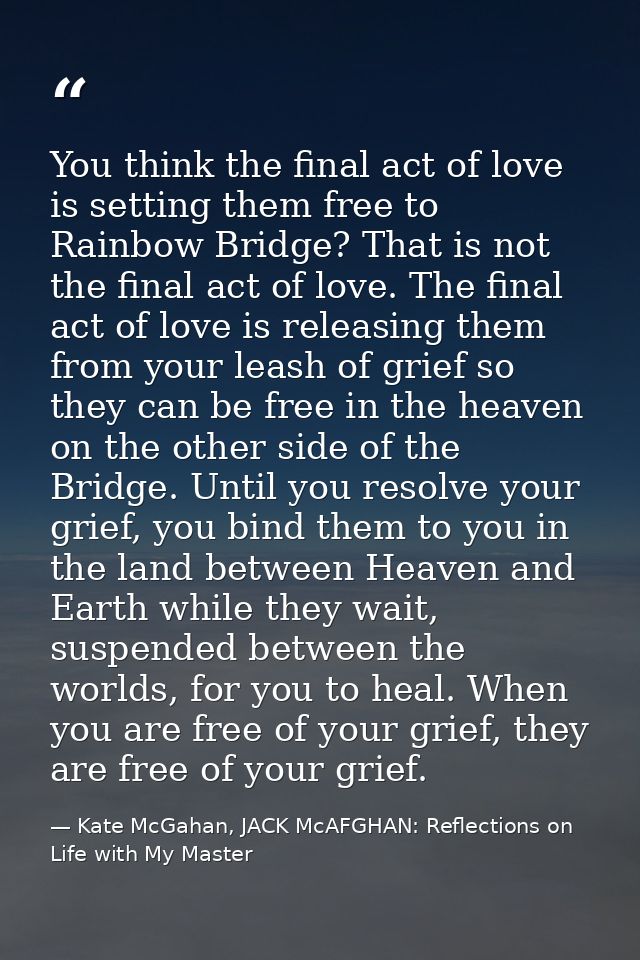 You think the final act of love is setting them free to Rainbow Bridge? That is not the final act of love. The final act — Kate McGahan, JACK McAFGHAN: Reflections on Life with My Master