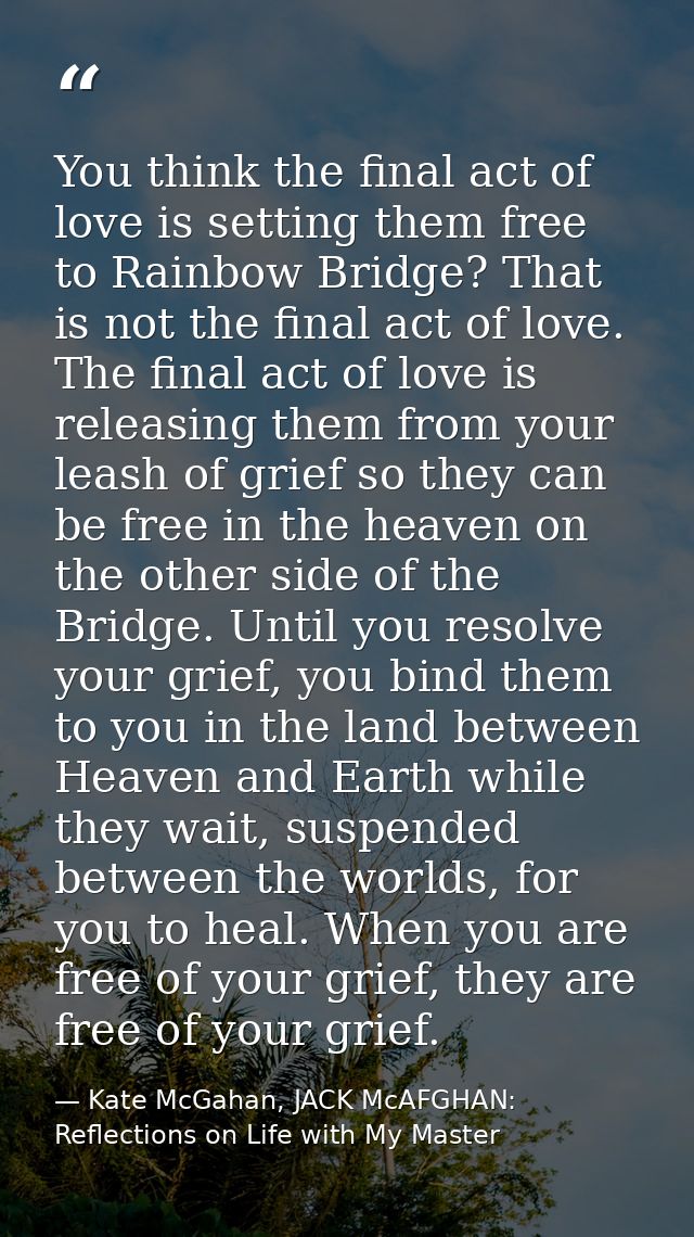 You think the final act of love is setting them free to Rainbow Bridge? That is not the final act of love. The final act — Kate McGahan, JACK McAFGHAN: Reflections on Life with My Master