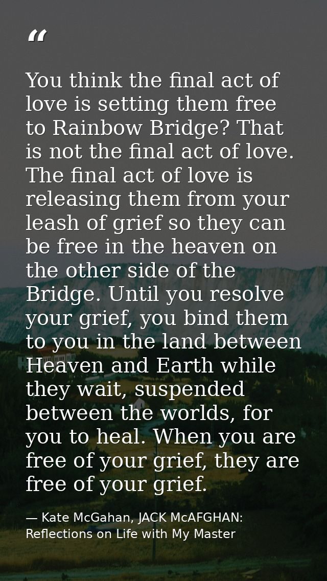 You think the final act of love is setting them free to Rainbow Bridge? That is not the final act of love. The final act — Kate McGahan, JACK McAFGHAN: Reflections on Life with My Master
