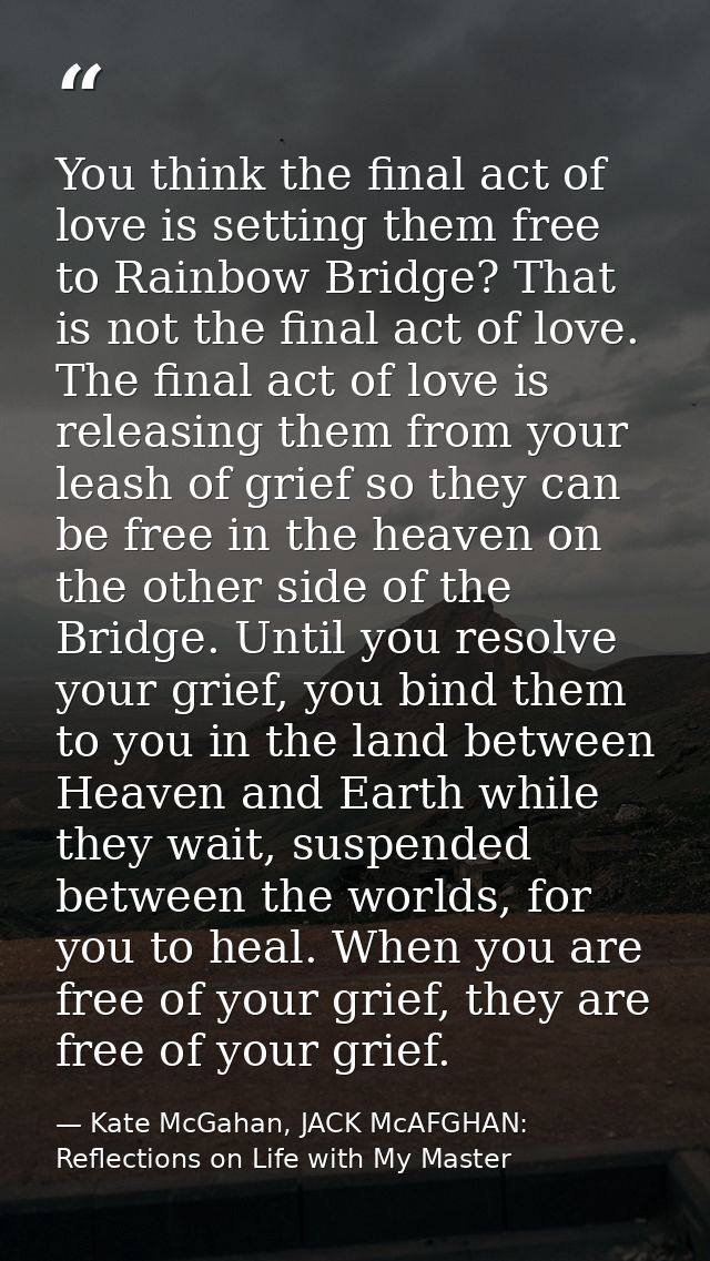 You think the final act of love is setting them free to Rainbow Bridge? That is not the final act of love. The final act — Kate McGahan, JACK McAFGHAN: Reflections on Life with My Master