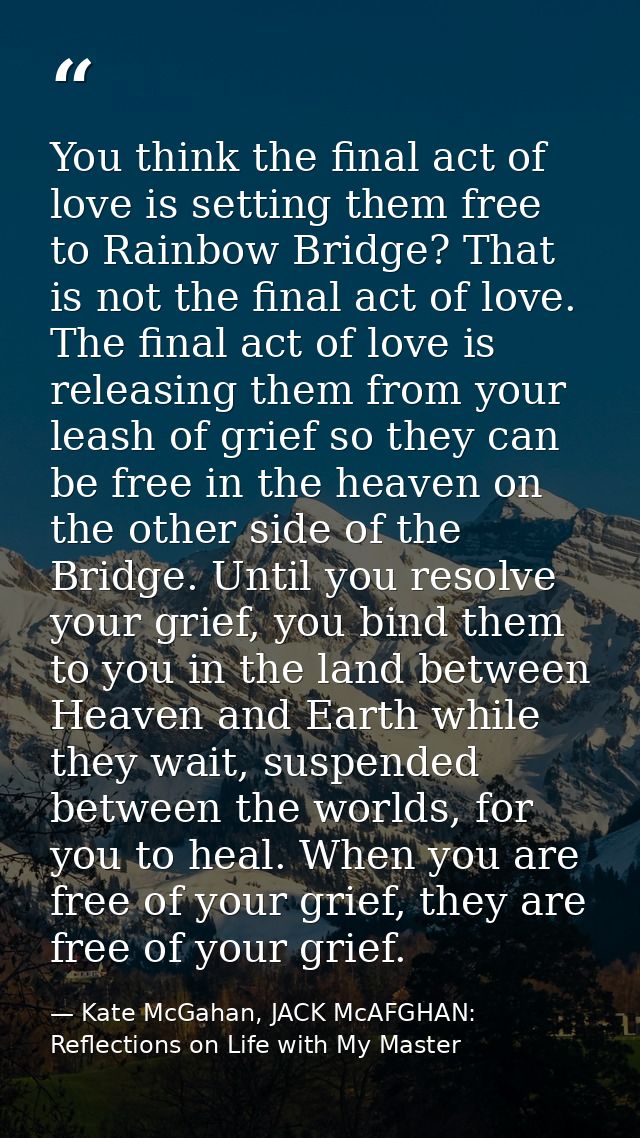 You think the final act of love is setting them free to Rainbow Bridge? That is not the final act of love. The final act — Kate McGahan, JACK McAFGHAN: Reflections on Life with My Master