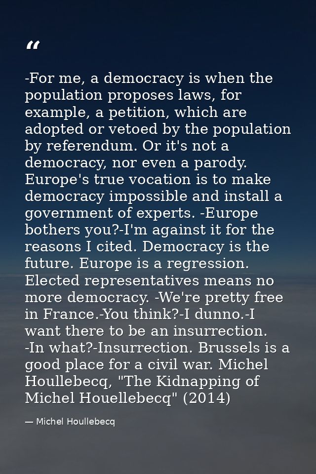 -For me, a democracy is when the population proposes laws, for example, a petition, which are adopted or vetoed by the p — Michel Houllebecq