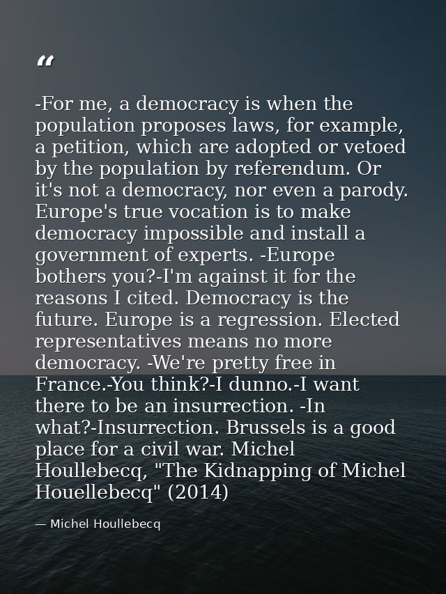 -For me, a democracy is when the population proposes laws, for example, a petition, which are adopted or vetoed by the p — Michel Houllebecq