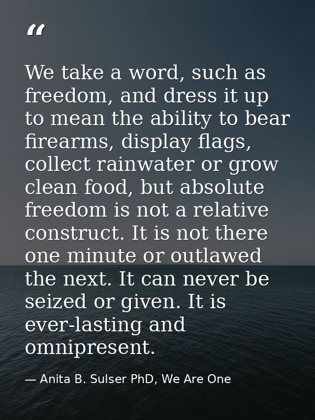 We take a word, such as freedom, and dress it up to mean the ability to bear firearms, display flags, collect rainwater  — Anita B. Sulser PhD, We Are One