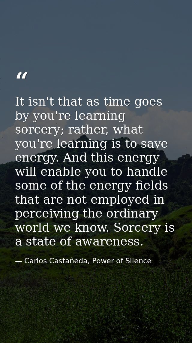It isn't that as time goes by you're learning sorcery; rather, what you're learning is to save energy. And this energy w — Carlos Castañeda, Power of Silence