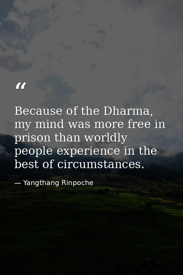 Because of the Dharma, my mind was more free in prison than worldly people experience in the best of circumstances. — Yangthang Rinpoche